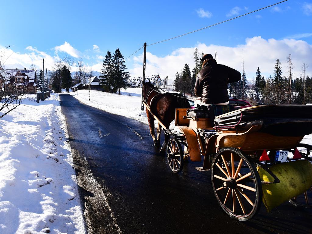 Bed and Breakfast Zwijaczówka Zakopane Zewnętrze zdjęcie