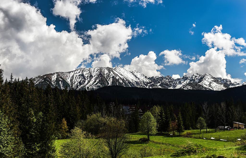 Bed and Breakfast Zwijaczówka Zakopane Zewnętrze zdjęcie