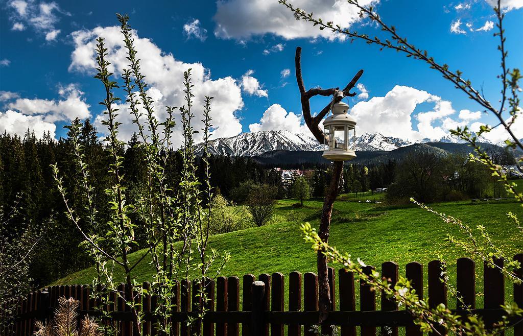 Bed and Breakfast Zwijaczówka Zakopane Zewnętrze zdjęcie